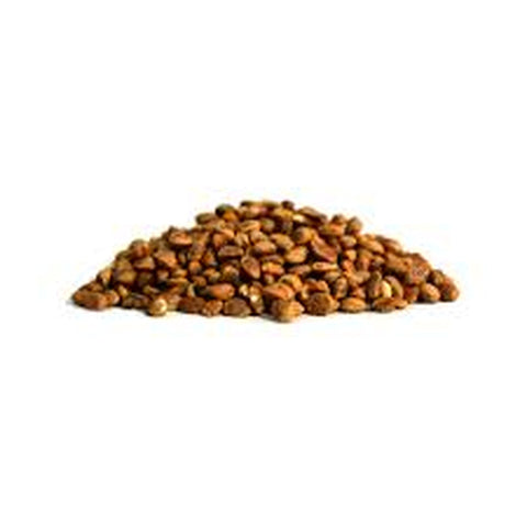 Charoli Chironji Seeds - Leena Spices