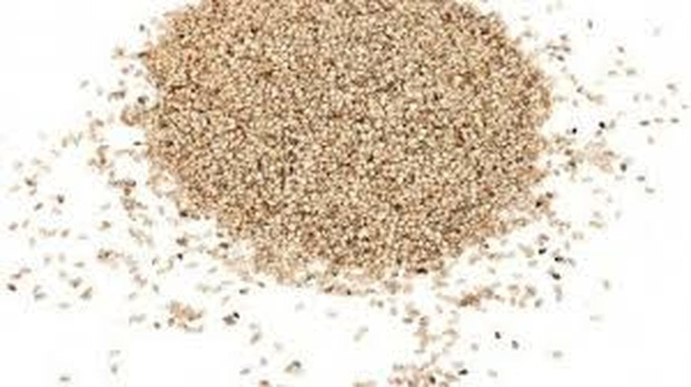 Gomasio Gomashio Pure Japanese Spice No Additives Leena Spices - Leena Spices