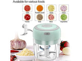 Garlic Crusher Vegetable Chopper 250ml Electric - Leena Spices