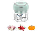 Garlic Crusher Vegetable Chopper 250ml Electric - Leena Spices