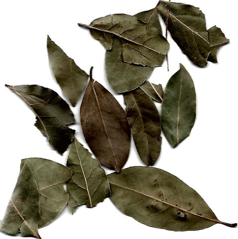 Bay Leaves Dried - Leena Spices