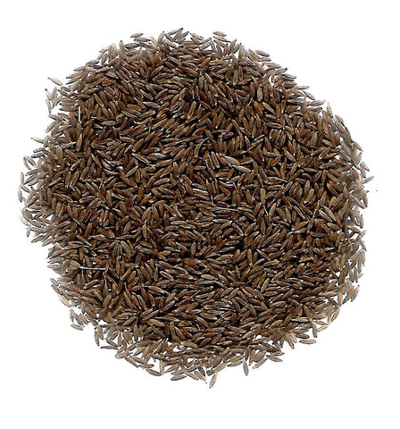 CUMIN SEEDS DHANA JEERA - Leena Spices