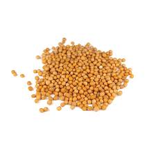 MUSTARD SEEDS YELLOW - Leena Spices